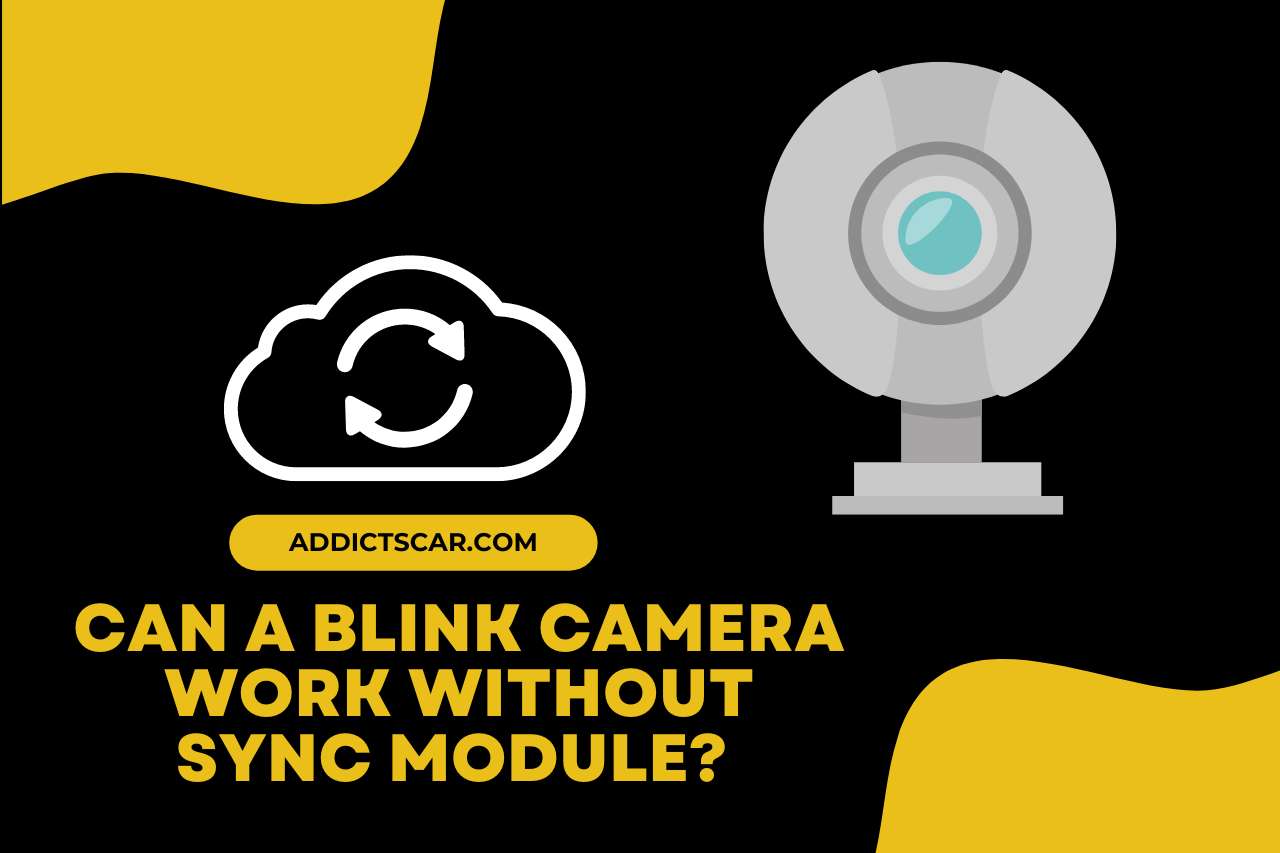Can a Blink Camera Work Without Sync Module? 